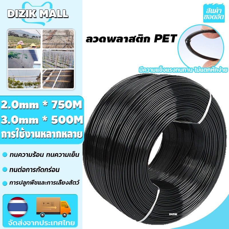DIZIK ลวดพลาสติก PET ลวดดัดบอนไซ ลวดพลาสติก ลวดค้างผัก ลวดเคือบพลาสติก 2.5mm*750M/3.0mm*500M