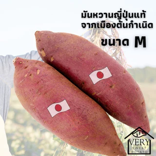 (ส่งด่วน กทม🚀) มันหวานญี่ปุ่น เบนิฮารุกะ M แบบดิบ🇯🇵