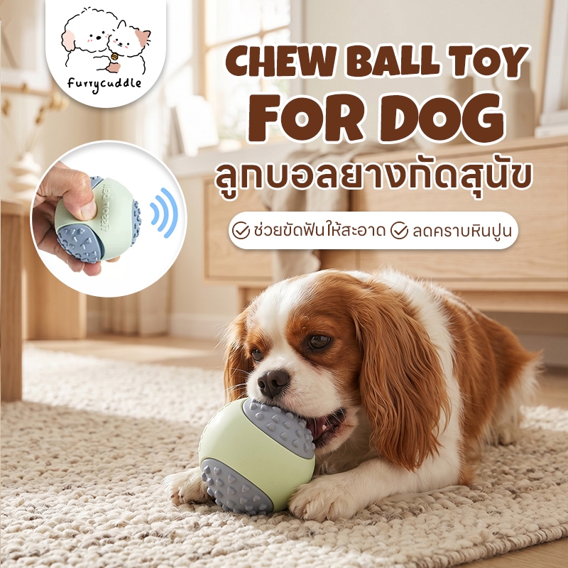 FurryCuddle พร้อมส่ง ลูกบอลกัดสำหรับสุนัข ของเล่นบอลสุนัข บอลกัดหมา มีเสียงเมื่อกัด ช่วยขัดฟัน ลดคราบหินปูน PU158