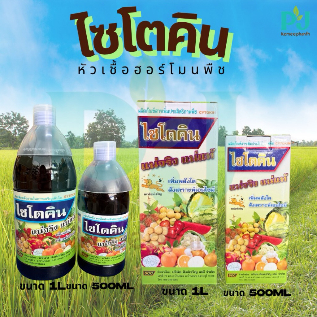 ไซโตคิน #หัวเชื้อฮอร์โมนพืช พืชโตเร็ว โตไว แตกราก แตกกอ ติดดอกติดผลดก ขนาด 1 ลิตร และ 500 มิลลิลิตร
