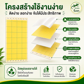 ✅เก็บซากได้ง่าย✅แผ่นกาวดักจิ้งจก กำจัดจิ้งจก 1 กล่อง มี 5 แผ่น ติดได้ทั้ง 2 ด้าน ไล่จิ้งจก