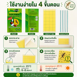 ✅เก็บซากได้ง่าย✅แผ่นกาวดักจิ้งจก กำจัดจิ้งจก 1 กล่อง มี 5 แผ่น ติดได้ทั้ง 2 ด้าน ไล่จิ้งจก