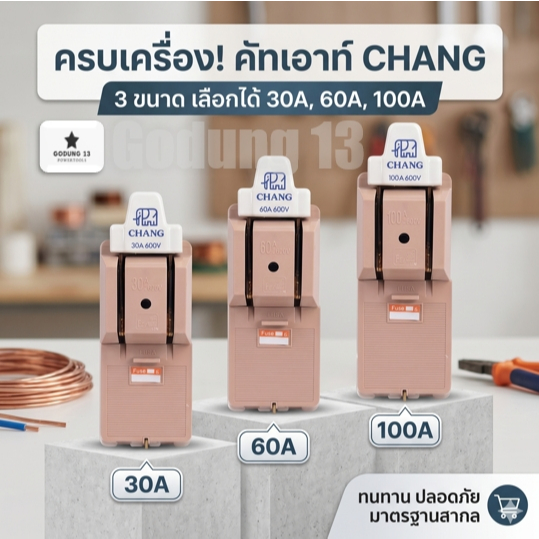 คัทเอาท์ 2P พร้อมฟิวส์ ตราช้าง มีขนาด 30A, 60A และ 100A  : CHANG