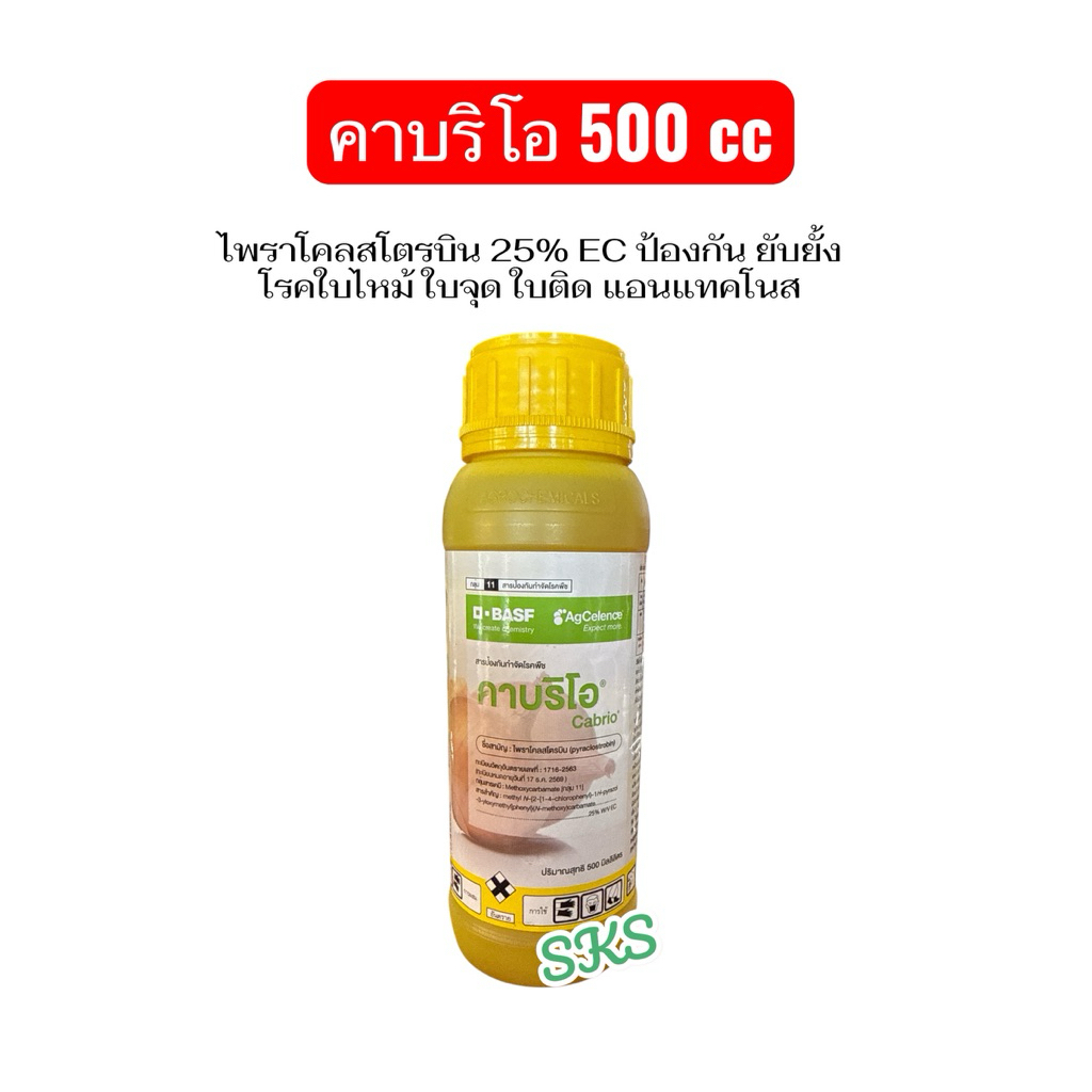 คาบริโอ 25% ขนาด 500cc ป้องกันและรักษา โรคพืช ใบแห้งไหม้ เน่าคอรวง ใบจุด โรคเน่า แอนแทรคโนส