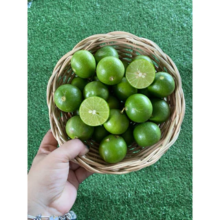 มะนาวแป้นรำไพแท้ น้ำดีคัดเกรด🍋 (เบอร์ 600)