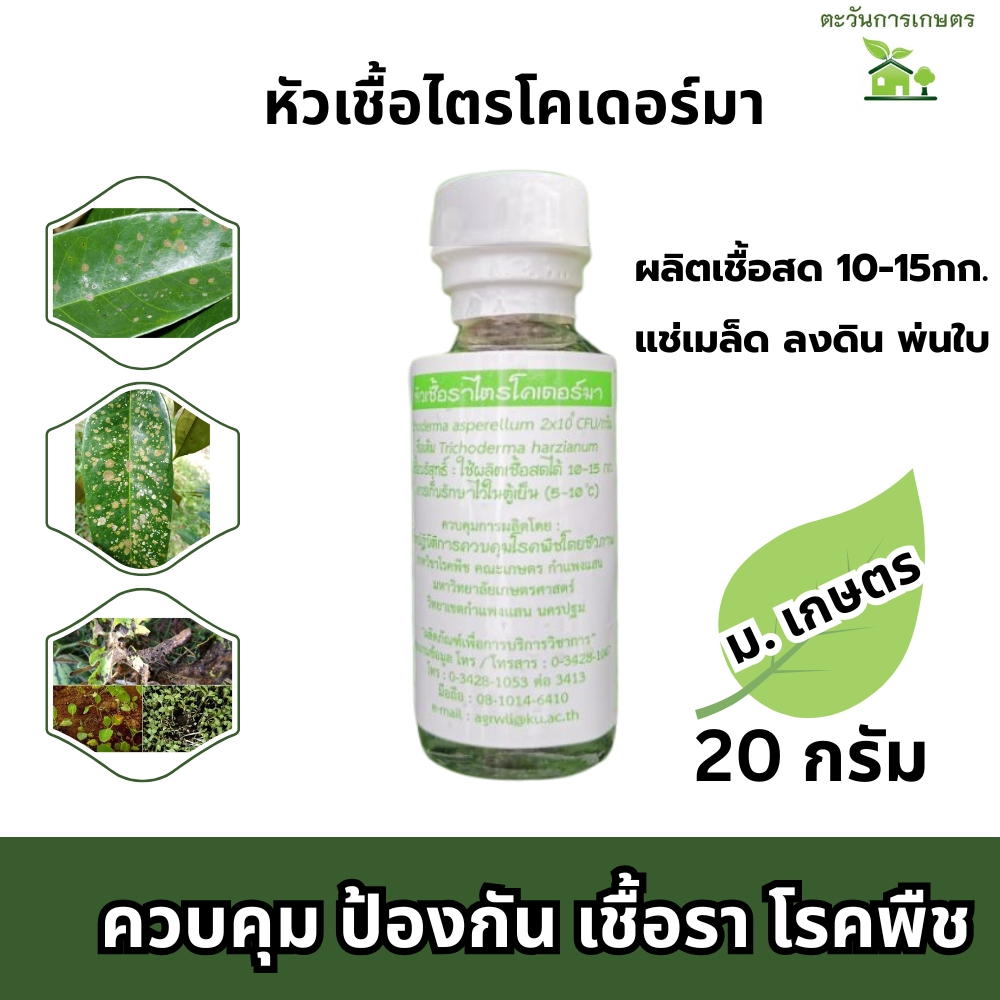 หัวเชื้อไตรโคเดอร์มา​ ไตรโคเดอร์มา​  เชื้อใหม่ไม่ค้างปีแน่นอน