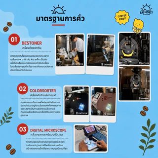เมล็ดกาแฟคั่วเข้ม Dark Roast Premium เหมาะชงอเมริกาโน่เข้มๆเมนูเอสเย็นไทยสไตล์ Sunset Coffee Roaster