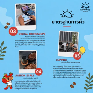 เมล็ดกาแฟคั่วเข้ม Dark Roast Premium เหมาะชงอเมริกาโน่เข้มๆเมนูเอสเย็นไทยสไตล์ Sunset Coffee Roaster