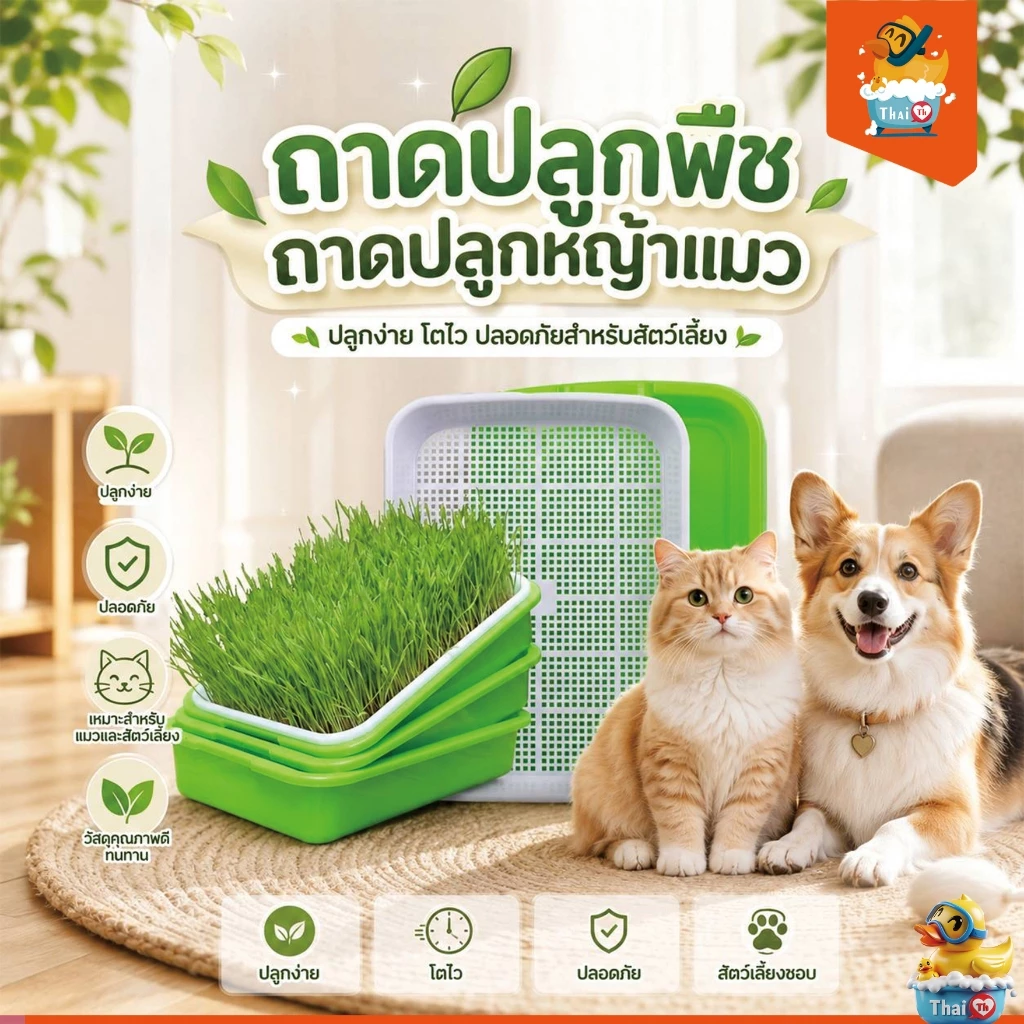 Thai.th กระถางปลูกพืช หญ้า สําหรับสัตว์เลี้ยง แมว ขนมขบเคี้ยว กล่องปลูกพืช PET-003