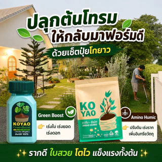 ปุ๋ยโกยาว กรีนบูสท์ ฮิวมิค ปุ๋ยอินทรีย์ เร่งราก เร่งโต เพิ่มความเขียว ใบหนา ใบมัน แตกยอดใหม่ ฟอร์มสวย รากเดินดี บำรุงดิน