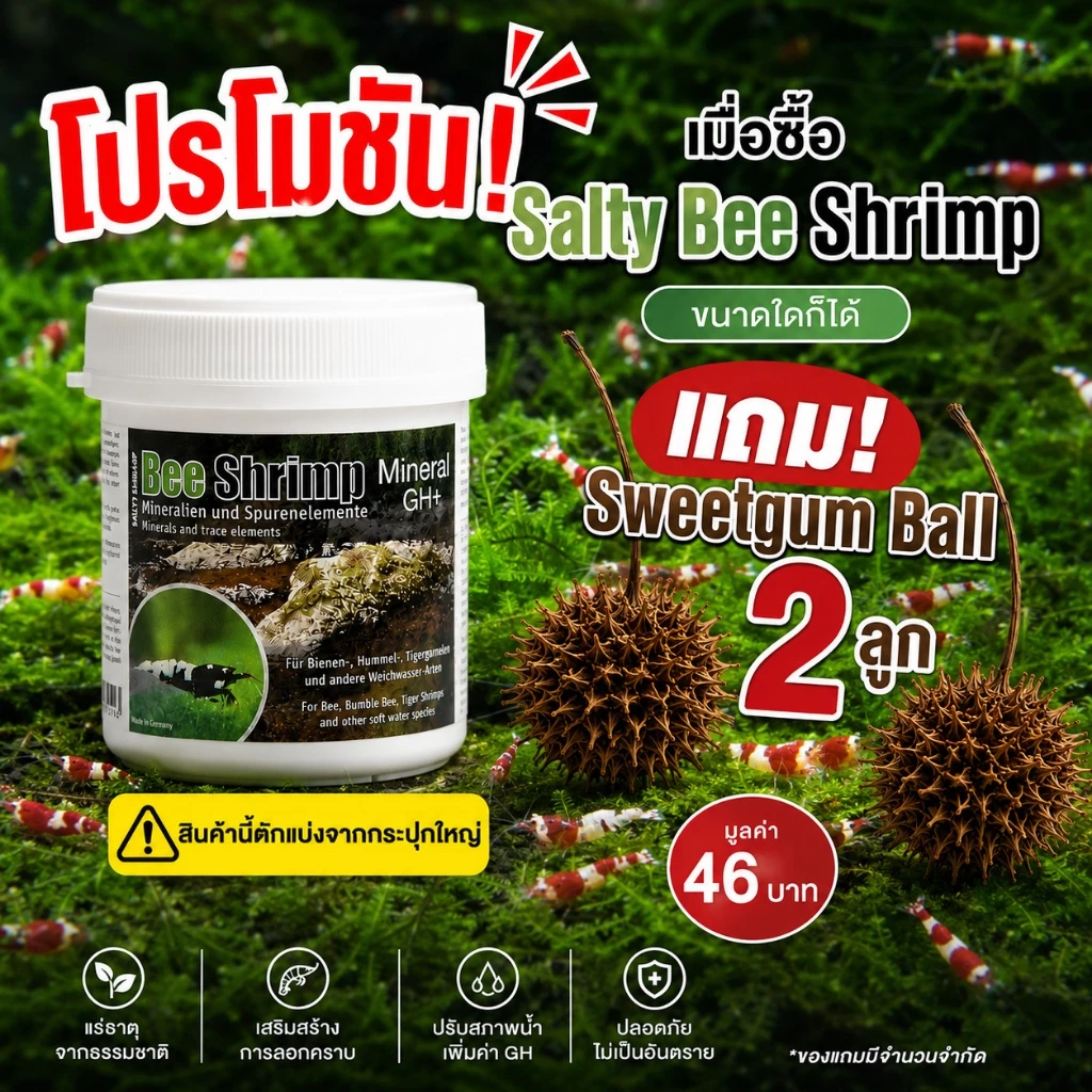Salty Shrimp Bee Shrimp Mineral GH+ (ตักแบ่งจากกระปุกใหญ่) แร่ธาตุกุ้งเรดบี กุ้งแคระ FREE! Sweetgum Ball 2 ลูกรวม 46 บาท