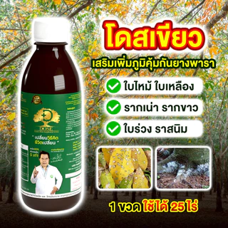 [ร้านค้าบริษัท]แก้หน้ายางตายนึ่งยางพารา โดสเขียว+โดสฟาส ขับเชื้อราออกท่อน้ำยาง บำรุงใบ บำรุงต้น