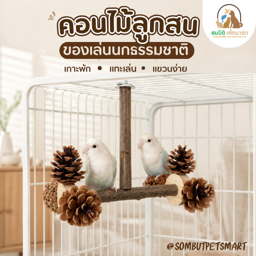 คอนไม้ลูกสนธรรมชาติ ของเล่นนก คอนเกาะนกแบบแขวน ของเล่นนกแก้ว ไม้ธรรมชาติ สำหรับเลิฟเบิร์ด ฟอพัส หงส์หยก ค็อกคาเทล