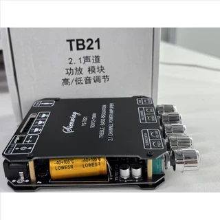 【Large chip】TB21ชิปใหญ่ แอมป์จิ๋ว sienwiny-YS- TB21 ของแท้ 50W*2+100W บลูทูธ 5.0 บอร์ดขยายเสียงซับวูฟเฟอร์ tb21+APP