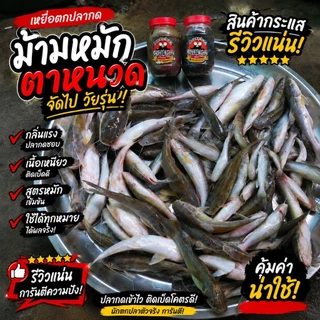 เหยื่อตกปลากด ม้ามตาหนวด (ของแท้ จัดไปวัยรุ่น) กินดี รีวิวแน่น