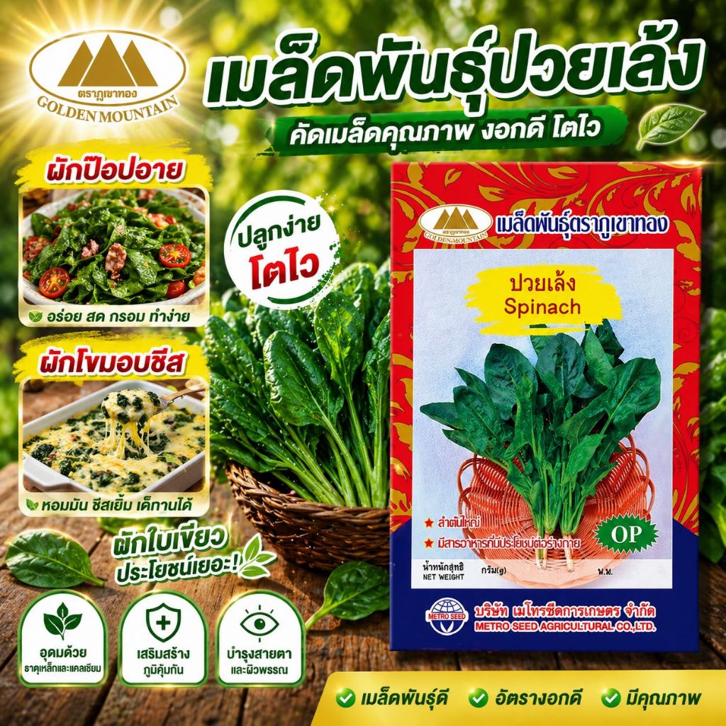 เมล็ดปวยเล้ง Spinach ตราภูเขาทอง ผักป๊อปอาย ใช้ทำผักโขมอบชีสได้ เมล็ดพันธุ์ปวยเล้ง เมล็ดผักสวนครัว
