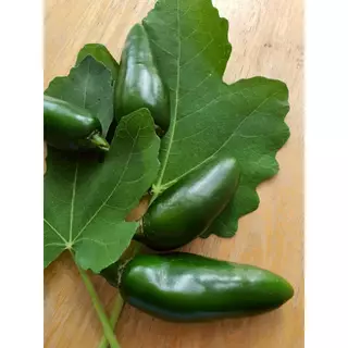 พร้อมส่ง พริกสด จาราปิโน่สด Fresh Jalapeno Mexican Pepper 1kg