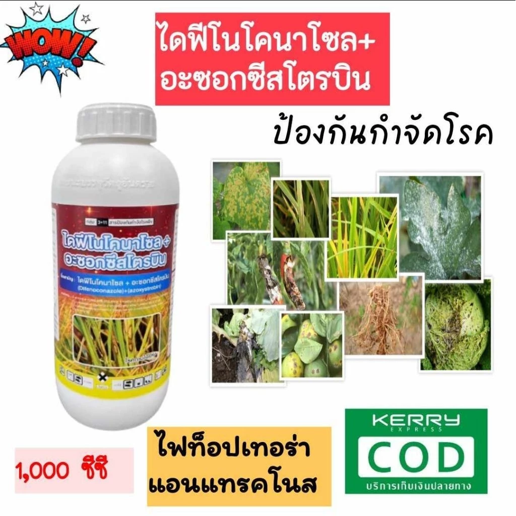 ไดฟีโนโคนาโซล+อะซอกซีสโตรบิน สารป้องกันกำจัดเชื้อราประสิทธิภาพสูง ขนาด 1 ลิตร
