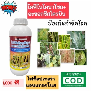 ไดฟีโนโคนาโซล+อะซอกซีสโตรบิน สารป้องกันกำจัดเชื้อราประสิทธิภาพสูง ขนาด 1 ลิตร