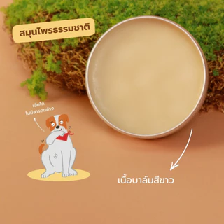 บาล์มฮาวน์โดะ สูตรพลูคาว น้องหมาน้องแมวใช้ได้ ลดอาการคัน สุนัขเป็นผื่นแดง เป็นแผล จากเชื้อรา เห็บหมัด แมลงต่างๆ Howndo