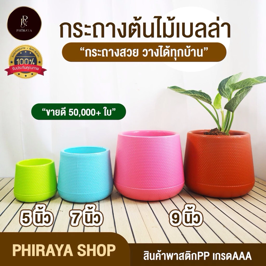 กระถางเบลล่า สไตล์มินิมอล ขนาด 5 นิ้ว 7 นิ้ว  9 นิ้ว พลาสติก PP เกรด AAA สีละมุน พร้อมจานรองทุกใบ thumbnail 3