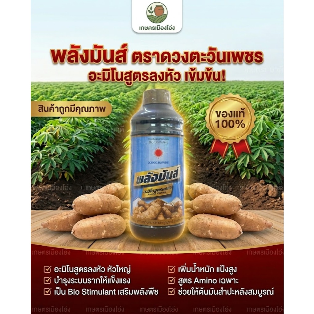 ปุ๋ยน้ำ พลังมันส์ อะมิโนเร่งลงหัวมัน ขนาด 1 ลิตร ช่วยกดใบลงหัว เร่งหัวใหญ่ สำหรับมันและพืชช่วงลงหัว ดวงตะวันเพชร