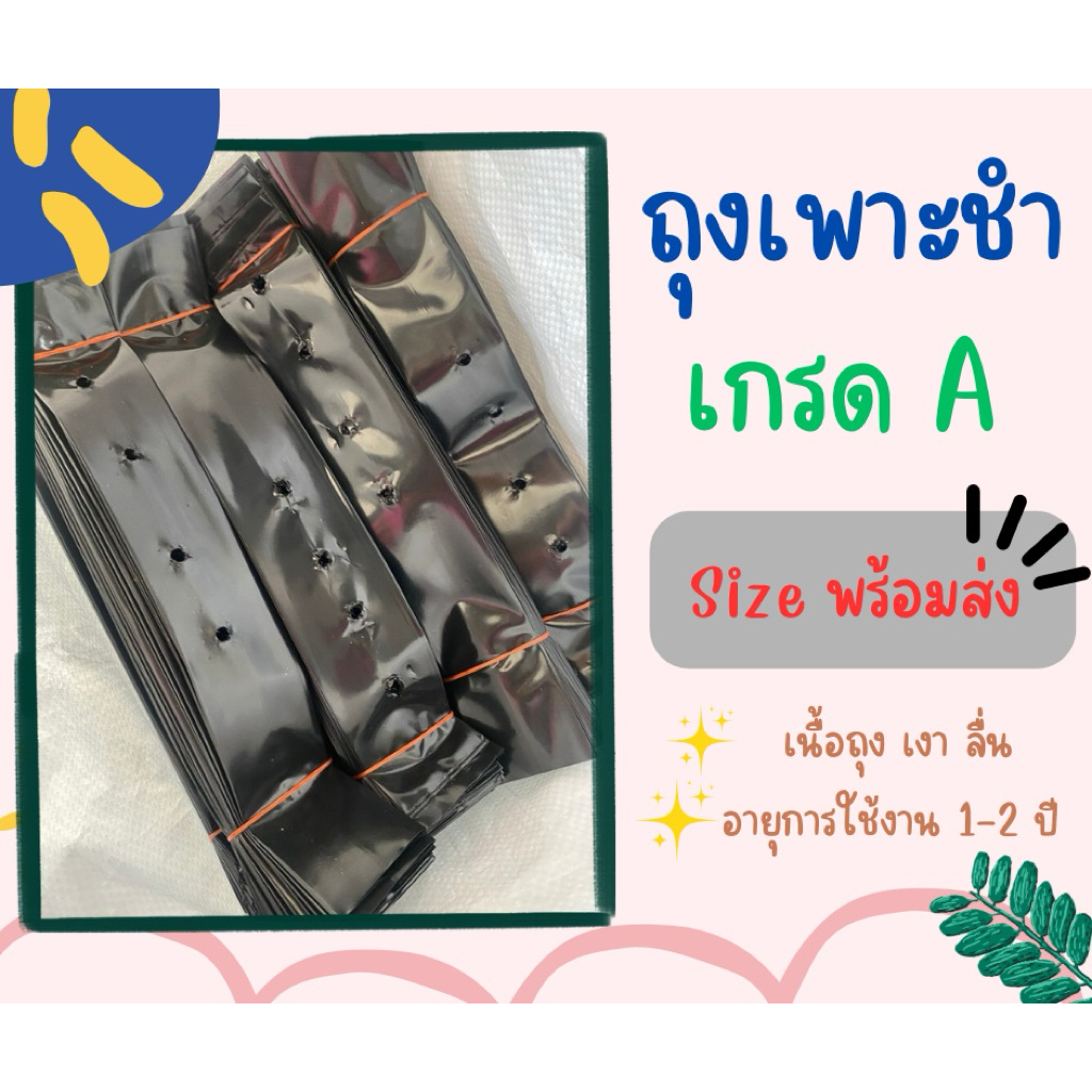 Grade A size พร้อมส่ง ถุงเพาะชำ ถุงเพาะปลูก หนา เหนียว เนื้อเงาลื่น ทนเเดด ทนฝน