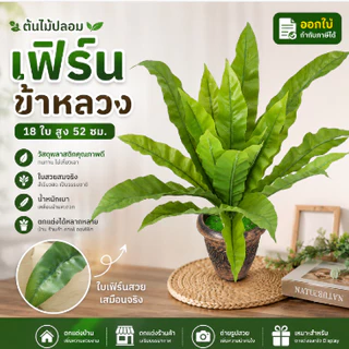 FE-04*พร้อมส่ง*ต้นไม้ปลอมเฟิร์นข้าหลวง 18 ใบ สูง 52 ซม.