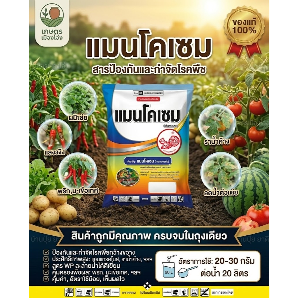 ตรากระรอก แมนโคเซบ(สีเหลือง)สารป้องกัน กำจัดเชื้อรา 80% 1 กิโลกรัม #เอ็กซเซบ #แมนโคเซบ #กันรา #กำจัดเชื้อรา
