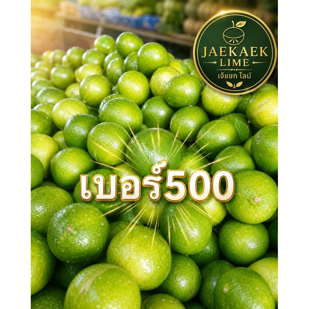 มะนาวแป้นรำไพเพชรบุรีเบอร์400 500(ขนาดกลางและใหญ่) เก็บส​ดใหม่จากสวนจ.เพชรบุรี