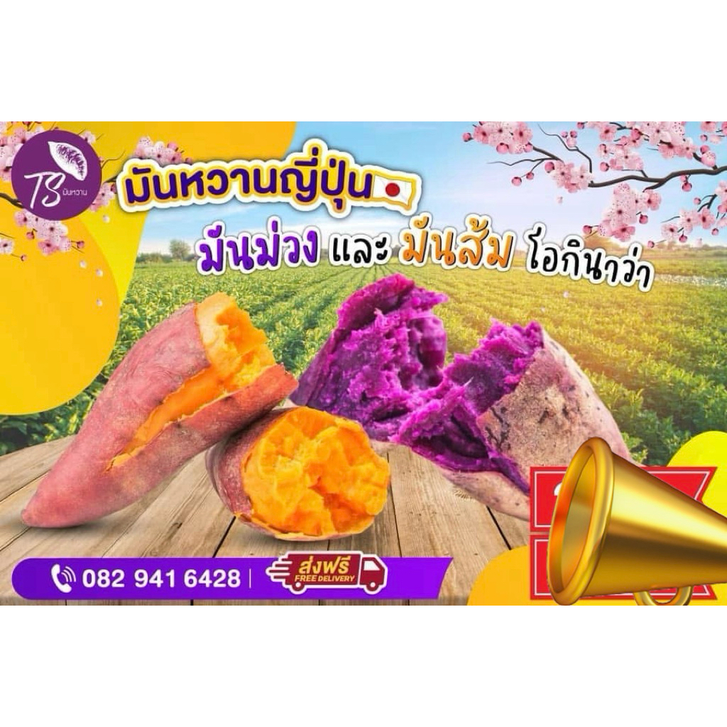 มันหวานญี่ปุ่นสีม่วงสีส้มรวมสองสีในกล่องเดียว1กล่อง2kgอร่อยหวานฉ่ำเพียง