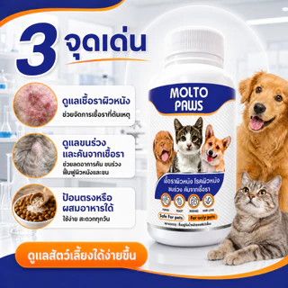 MOLTO PAWS ดูแลเชื้อราผิวหนัง สุนัข แมว ขนร่วงเป็นวง คันจากเชื้อรา ยีสต์ โรคผิวหนัง ฟื้นฟูผิวและขน ปลอดภัย