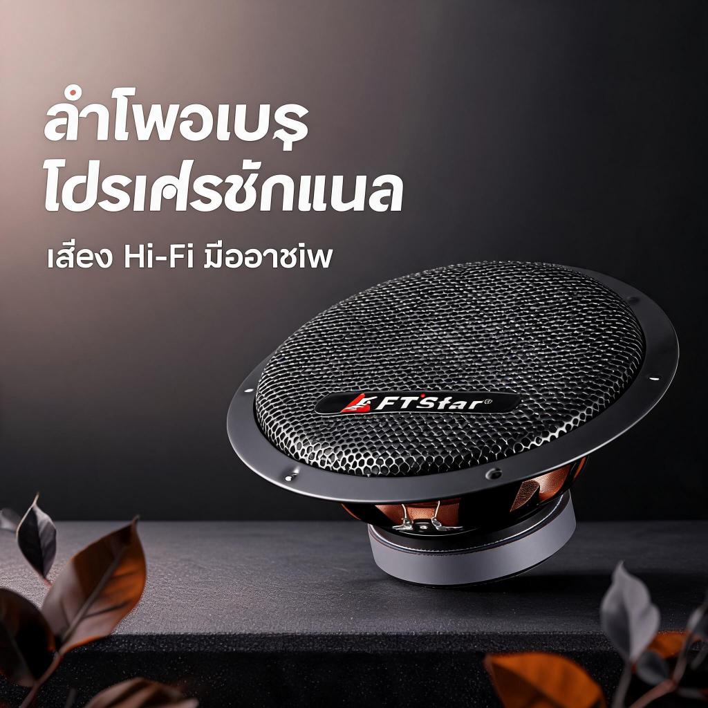 Ft star Ft-10W ลำโพงวูเฟอร์ระดับมืออาชีพ 250 วัตต์ ความถี่สูง ขนาด 10 นิ้ว FT-10 ซับวูเฟอร์ แบบต้นฉบ