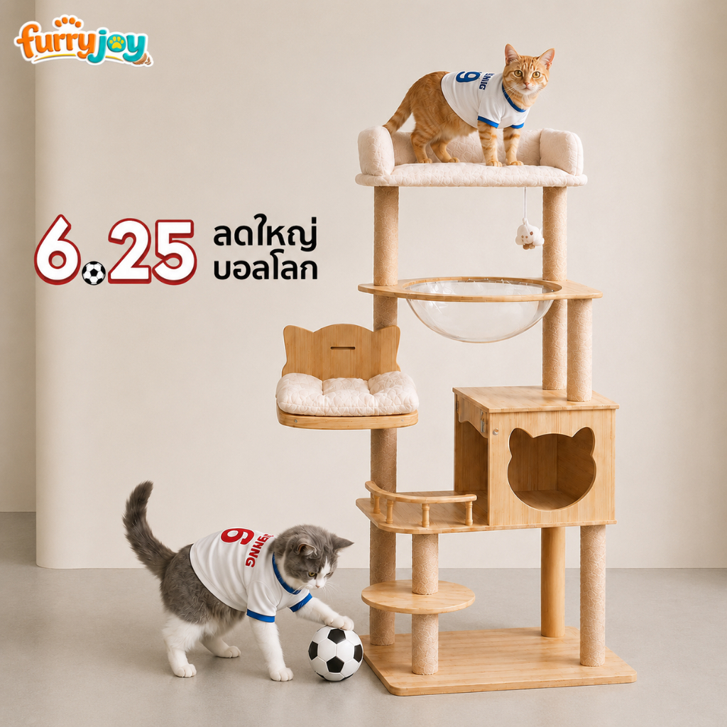 [FurryJoy] คอนโดแมวไม้ 150CM รุ่นพรีเมียม 5in1 หลุมนอนใส+บ้านแมว+เปลญวน แข็งแรง ไม่ล้ม สำหรับแมว 1-3 ตัว