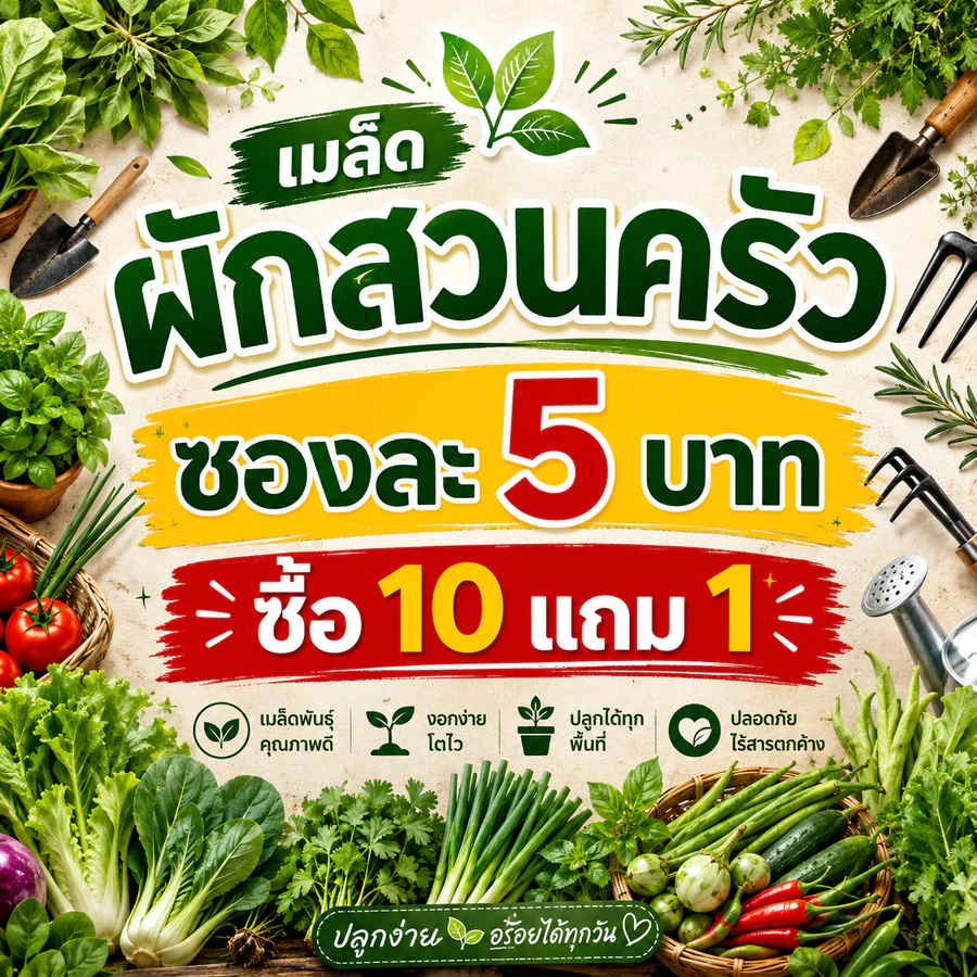 10แถม1 เมล็ดพันธุ์ผัก เมล็ดผักสวนครัว ปลูกง่ายโตไว เมล็ดผักใหม่ รับประกันการงอก Farmjn