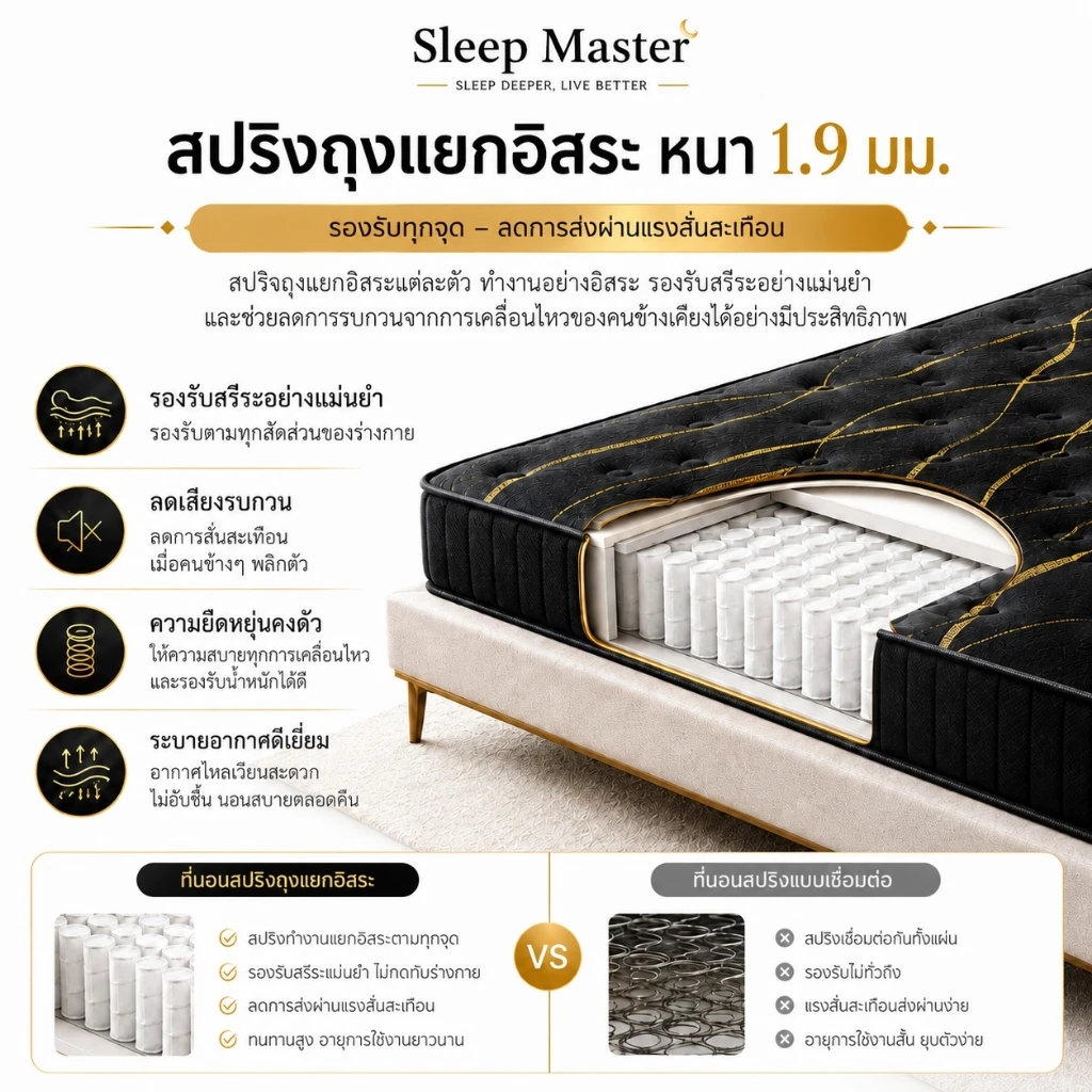 Sleep Master ที่นอนสปริงผสมยางพารา หนา 8 นิ้ว thumbnail 7