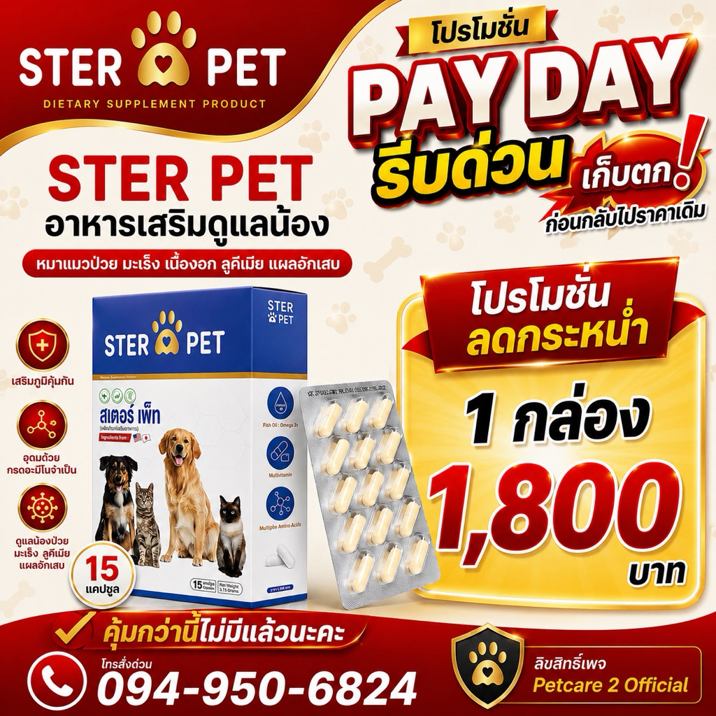 ส่งด่วน [ ชุดทดลอง 1 กล่อง ] Ster Pet (ของแท้) 15 แคปซูล  เสริมภูมิคุ้มกันน้องหมาแมว เนื้องอกมะเร็ง ทุกระยะ