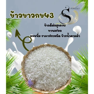 ข้าวขาวกข43 ตราทรัพย์ธนา แพ็คทดลอง 500 กรัม เหมาะสำหรับลองชิมก่อนสั่งขนาดใหญ๋