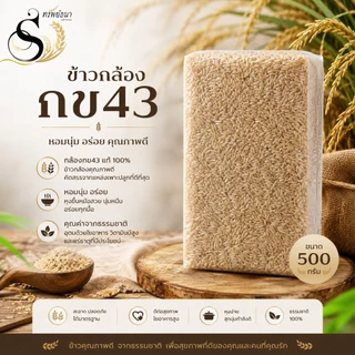 ข้าวกล้องกข43 ขนาดทดลอง 500 กรัม ตราทรัพย์ธนา หอม นุ่ม อร่อย ได้ประโยชน์เต็มเมล็ด