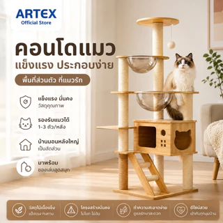 คอนโดแมวไม้ มินิมอล รุ่นN5 สูง131-145cm บ้านแมว เสาลับเล็บ หลุมอวกาศใส 2 หลุม ที่นอน บันได พร้อมของเล่น