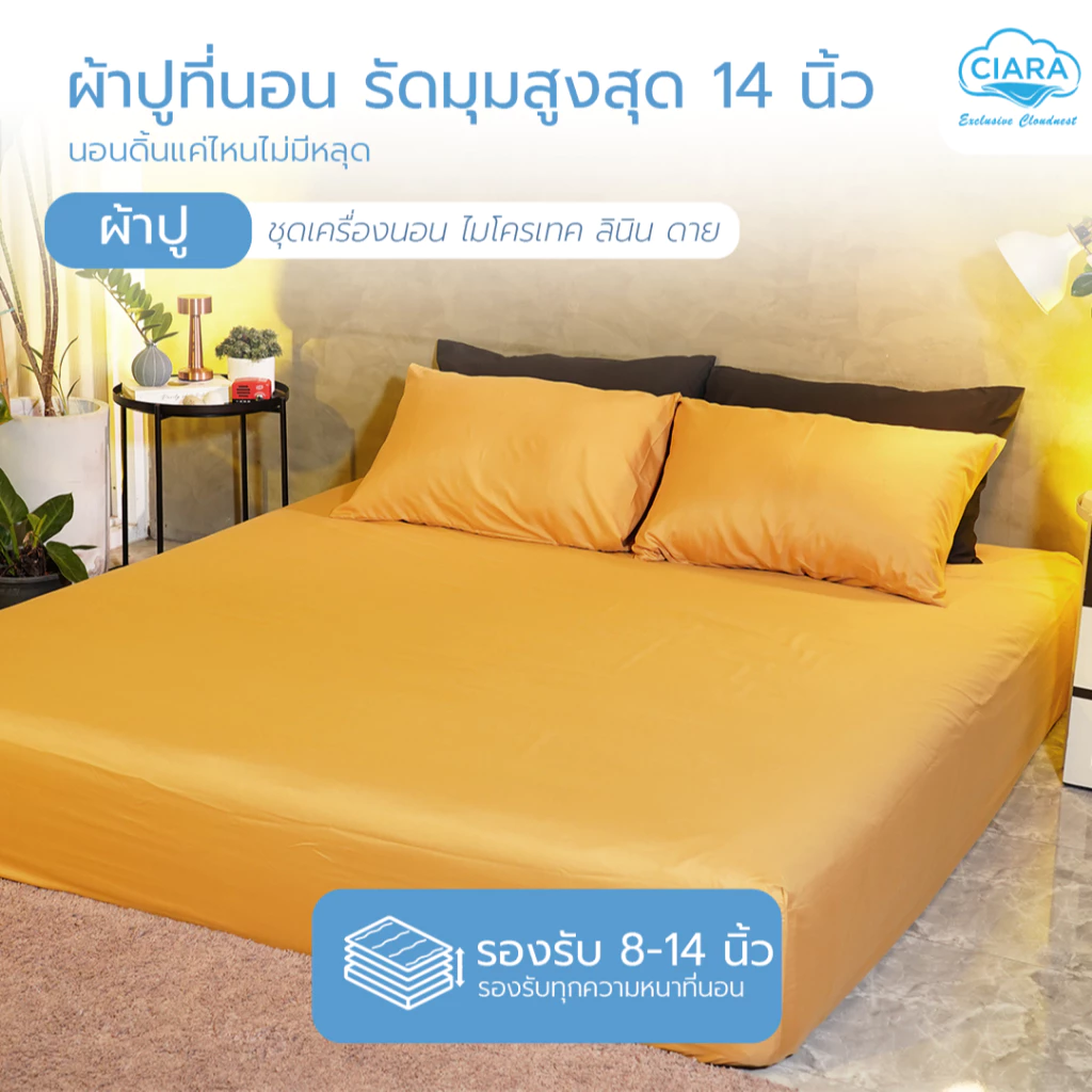 CIARA Bedding ชุดผ้าปูที่นอนและผ้าห่มนวมทูโทน เหลืองมาสตาร์ด-ดำ ไมโครเทคลินิน thumbnail 6