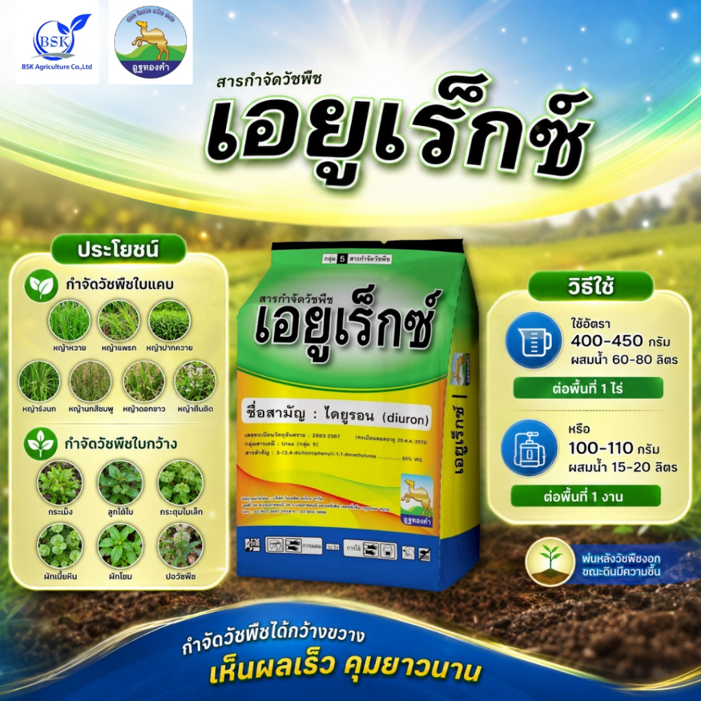 เอยูเร็กซ์ เม็ด กำจัดหญ้าประเภทใบแคบ 1 กิโลกรัม (บ.โอเอซิส)