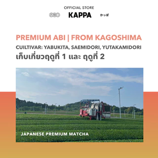 Premium ABI มัทฉะเกรดพรีเมี่ยมโทนถั่ว คินาโกะ ขนมเซมเบ้กรอบ จาก Kagoshima by Kappa 30g