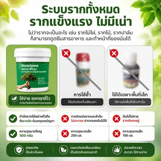 【5 เท่า】กำจัดวัชพืช 500g ยาฆ่าตอไม้ ตรงไปที่ราก ยาฆ่าตอไม้ ไม่เป็นอันตรายต่อดินกำจัดต้นไม้กำจัดวัชพืชกำจัดไม้ไผ่