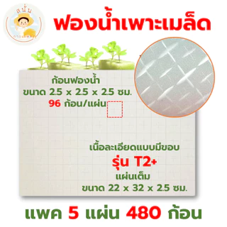 ฟองน้ำปลูกผักไฮโดรโปนิส์ ฟองน้ำเพาะเมล็ด ผักสลัด เนื้อละเอียด แบบมีขอบ 96 ช่อง มีรอยบาก พร้อมใช้