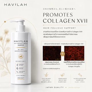 ฮาวิล่าห์ เจแปน แชมพูลดปัญหาผมหลุดร่วง ให้ผมหนาแน่น มีวอลลุ่มขึ้น | Havilah Japan Anti-Hair Loss