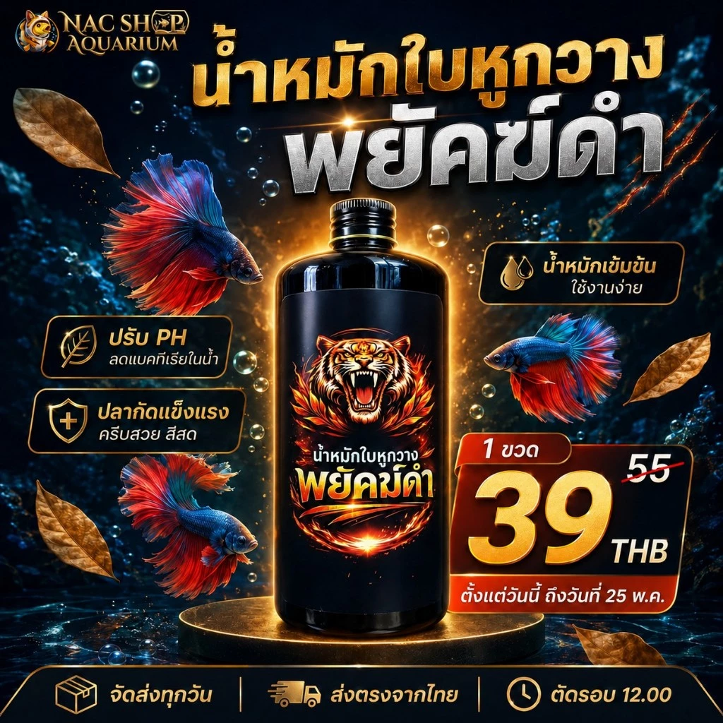 น้ำหมักใบหูกวาง พยัคฆ์ดำ สูตรเข้มข้น ช่วยปรับสภาพน้ำให้เหมาะกับการเป็นอยู่ของ ปลากัด