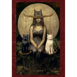 W.I.T.C.H Woman In Total Control of Herself Tarot ไพ่ยิปซีแท้ธีมแม่มดขอบทองหรูหรา ไพ่ยิปซี ไพ่ทาโรต์ Tarot Deck
