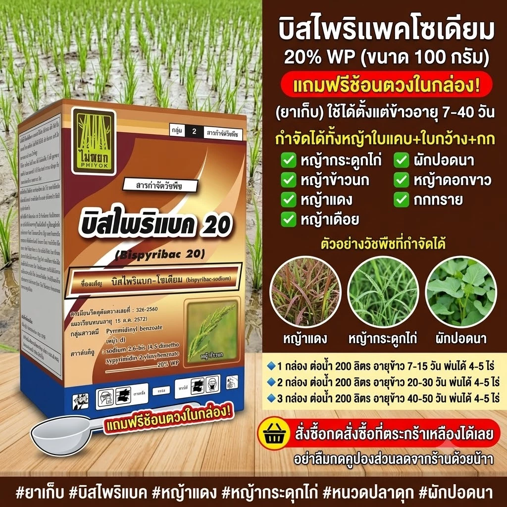 บิสไพริแบค-โซเดียม (bispyribac-sodium) 20% WP บรรจุ 100 กรัม กำจัดหญ้าใบแคบและกก หญ้าแดง หญ้ากระดูกไก่ ผักปอดนา เทียนนา