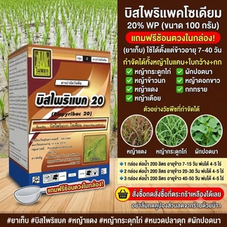 บิสไพริแบค-โซเดียม (bispyribac-sodium) 20% WP บรรจุ 100 กรัม กำจัดหญ้าใบแคบและกก หญ้าแดง หญ้ากระดูกไก่ ผักปอดนา เทียนนา